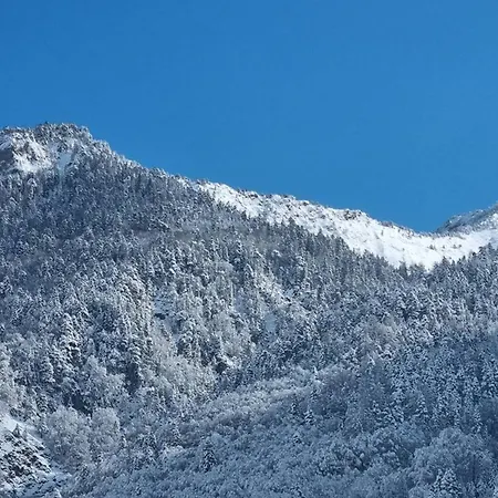 T3 A Cauterets, Proche Thermes, Telecabine, Wifi Et Parking - Fr-1-234-138 Lejlighed